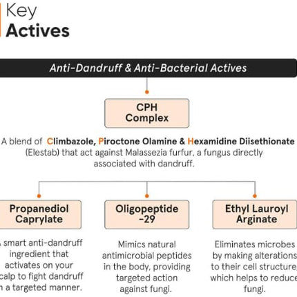 Minimalist Anti-Dandruff Hair Serum-50ml