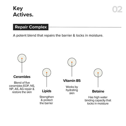 Minimalist Barrier Repair Face Moisturizer with Vitamin B12 Complex 5.5% -50gm