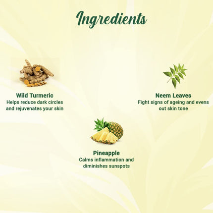 Biotique Pineapple Oil Control Foaming Face Wash for All Skin Types | 150ml