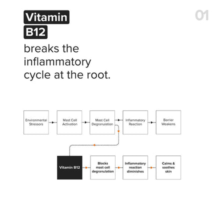 Minimalist Barrier Repair Face Moisturizer with Vitamin B12 Complex 5.5% -50gm
