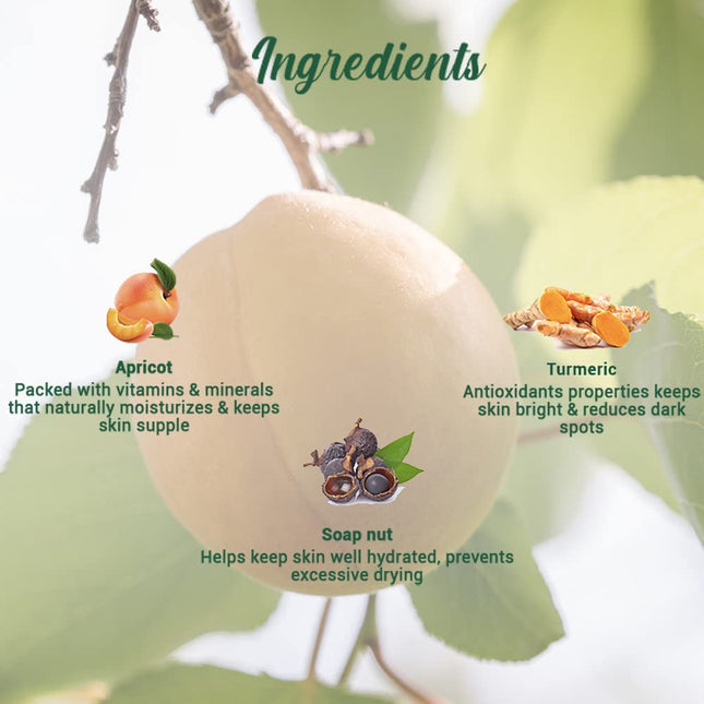 Biotique Bio Apricot Refreshing Body Wash for All Skin Types | 800ml