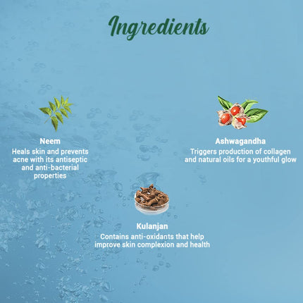 Biotique Fresh Neem Pimple Control Face Wash All Skin Types | 150mL