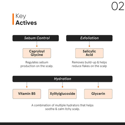 Minimalist Anti-Dandruff Hair Serum-50ml