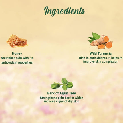 Biotique Honey Gel Soothe & Nourish Foaming Face wash for All Skin Types | 150ml