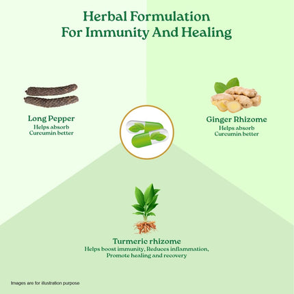 Organic India Turmeric Formula - 60 Veg Capsules