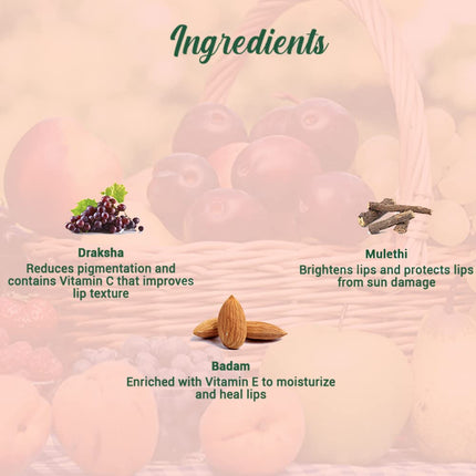 Biotique Fruit Lip Balm All Skin Types | 12G