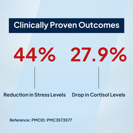 Miduty Ashwagandha 3X Supplement 500 mg-60 Veg Capsules