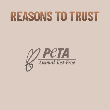 Swiss Beauty Premium Synthetic Bristle Professional Face & Eye Makeup Brushes Set of 6