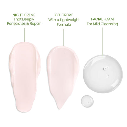 Lotus Herbals Whiteglow Day And Night Face Cream Pack with Face Wash-220G