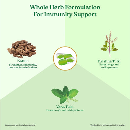 Organic India Immunity Booster - 60 Capsules Bottle