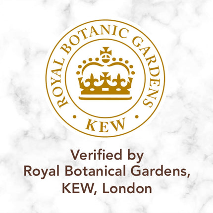 Herbal Essences bio:renew Coconut Milk SHAMPOO, 400ml