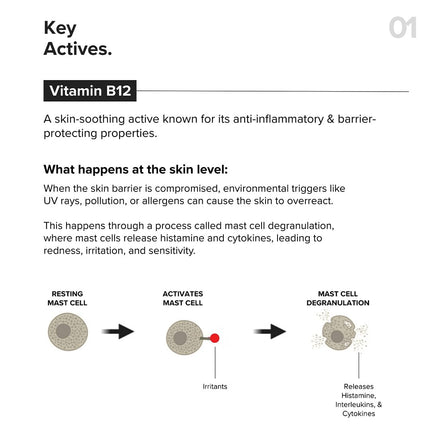 Minimalist Barrier Repair Face Moisturizer with Vitamin B12 Complex 5.5% -50gm