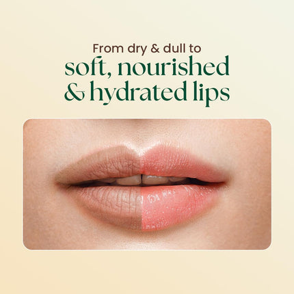 Moha Lip Butter for Dry & Pigmented Lips | Balm with Cocoa & Shea Butter, Pomegranate, Vitamin C & E -10g