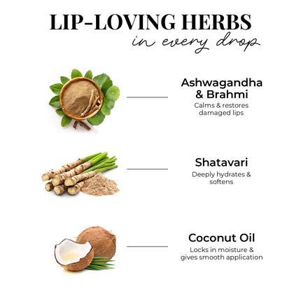 Just Herbs Herb Enriched Matte Liquid Lipstick | Set of 4