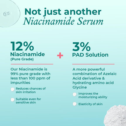 The Pink Foundry 12% Niacinamide Serum-30ml