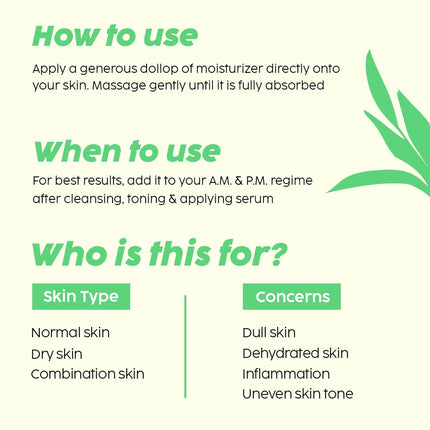 The Plant Fix Plix Guava Glow Smoothie Moisturizer  (50G)