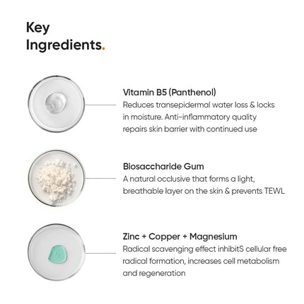 Minimalist Dehydrated Skin Moisturizer with 10% Vitamin B5 -50gm