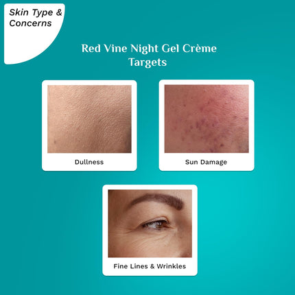 PILGRIM French Red Vine Anti Aging Night Cream