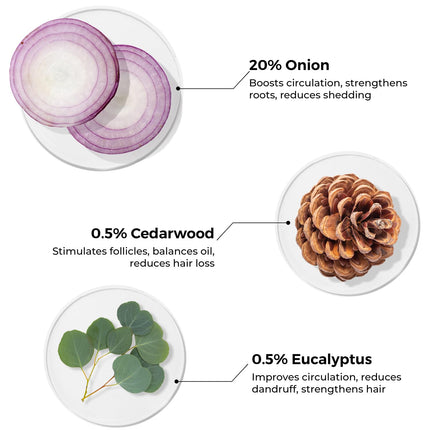 Brillare Argan Hair Oil,Olive oil & Sunflower Oil