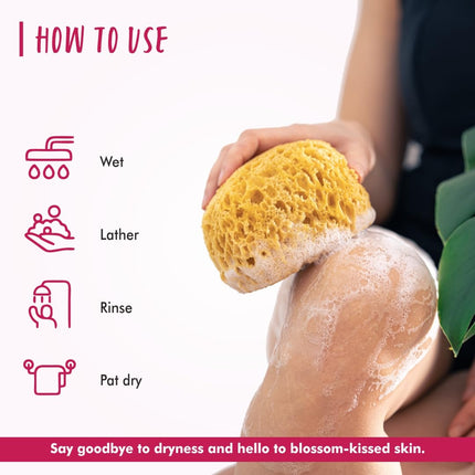 THE LOVE CO Japanese Cherry Blossom Shower Gel | Aloe & Vitamin E-100ml