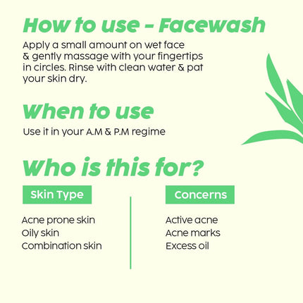 The Plant Fix Plix Jamun Face Wash and Active Acne Serum Combo(100ML + 30ML)