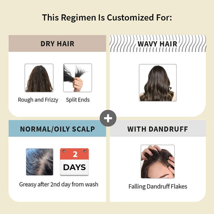 Vedix Ayurvedic Regimen for Dry, Wavy Hair/Normal-Oily Scalp 3 Product Kit