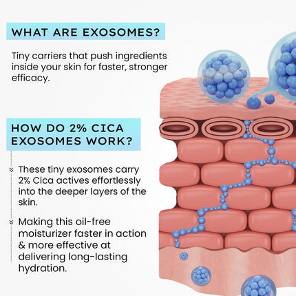 Hyphen 2% Cica Exosomes Oil-Free Moisturizer | 50ml