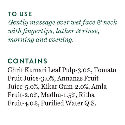 Biotique Fruit Brightening Face Wash for All Skin Types | 200mL