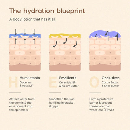 Arata Ceramide Body Lotion for Winter Dry Skin -200ml