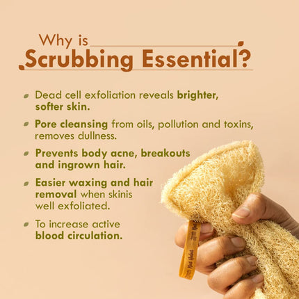 Nat Habit Natural Sun Dried Bath Loofah, Body Sponge (Pack of 2)