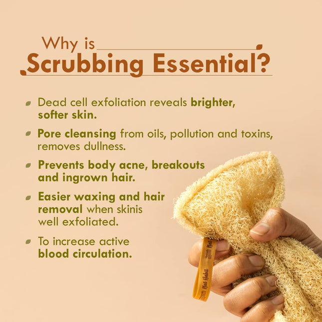 Nat Habit Natural Sun Dried Bath Loofah, Body Sponge (Pack of 2)