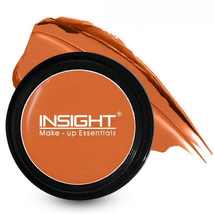 INSIGHT Concealer for All Skin Types-3.5G
