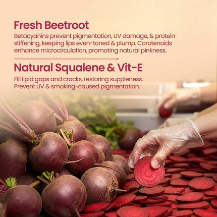 Nat Habit Lip Balm Fresh Beetroot Squalane 8gm Lip Butter With Desi Ghee & Raw Honey