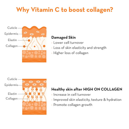 Plush High on Collagen Gentle Face Wash All Skin Types | 100 ml