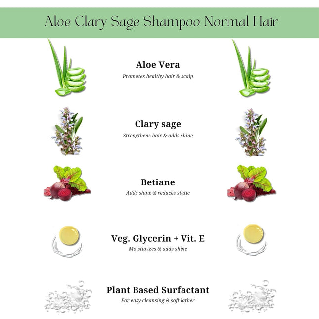 Rustic Art Aloe Clary Sage Shampoo | Hair Fall Control & Scalp Balance | Oily to Normal Hair Type -210g
