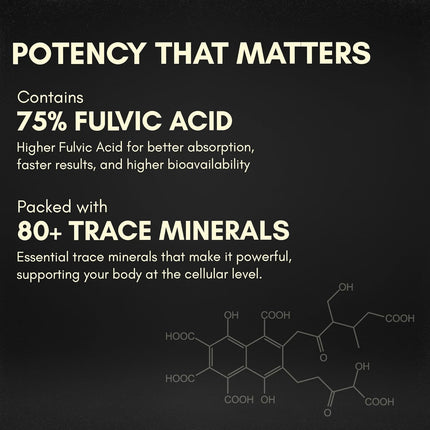 Rasayanam Shilajit Gold Resin 20g