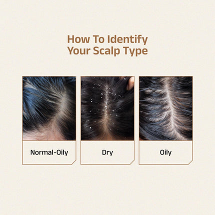 Vedix Vithan Pro Hair Growth Serum for Men and Women | 40ml