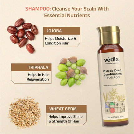 Vedix Customized Hair Fall Control Regimen For Dry/Scalp & Curly Hair - 3 Product Kit - Hair Oil - Shampoo - Vithan Pro Hair Growth Serum