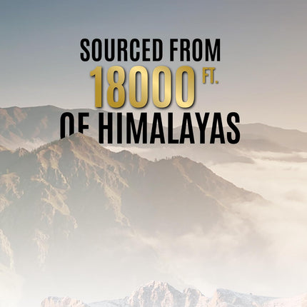 OG BEAUTY Wellness Himalayan Shilajit Resin - 20g