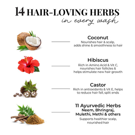 Just Herbs Castor and Black Onion Seed Sulfate Free Shampoo-200ml