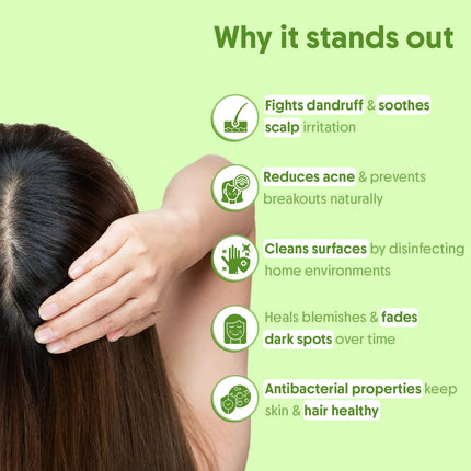 Aravi Organic Tea Tree Essential Oil For Skin, Hair, Face, Acne Care, Dandruff-15 ml