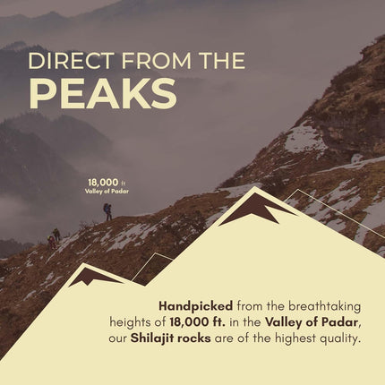 Rasayanam Pure Himalayan Shilajit Resin-20 Gm