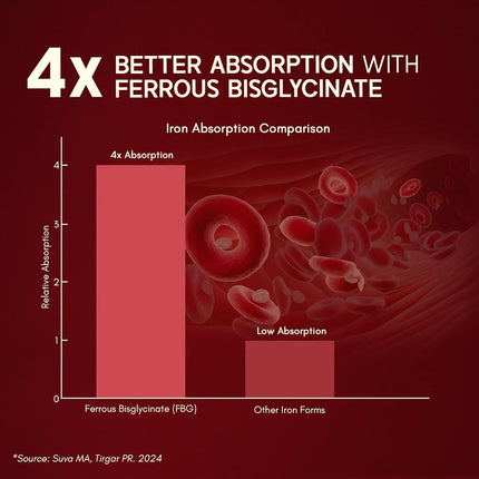 Rasayanam Iron Supplement 60 Tablet