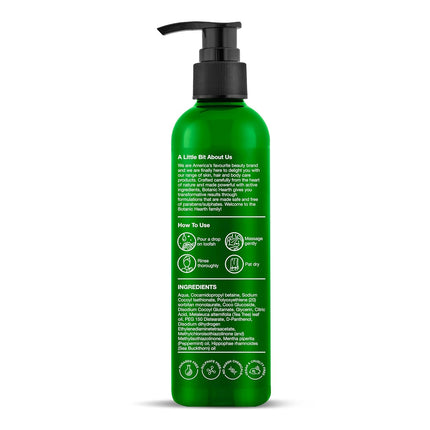 Botanic Hearth Tea Tree Body Wash with Sea Buckthorn Oil , Peppermint Oil-245ml