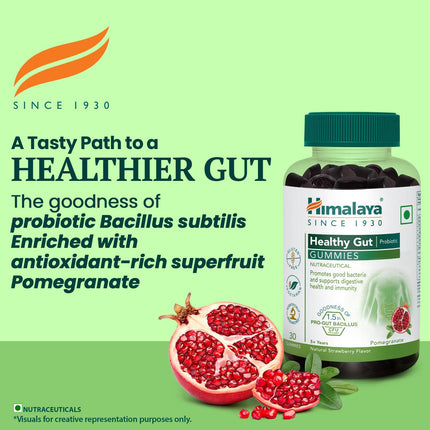 Himalaya Healthy Gut Probiotic 30 Gummies