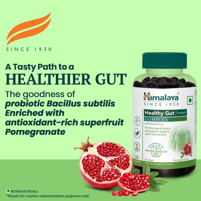 Himalaya Healthy Gut Probiotic 30 Gummies