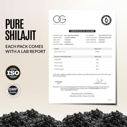 OG BEAUTY Wellness Himalayan Shilajit Resin - 20g