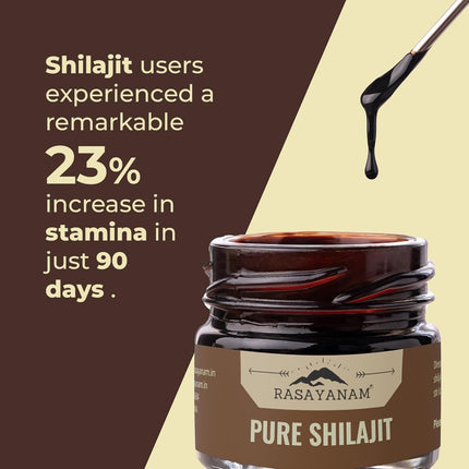 Rasayanam Pure Himalayan Shilajit Resin-20 Gm