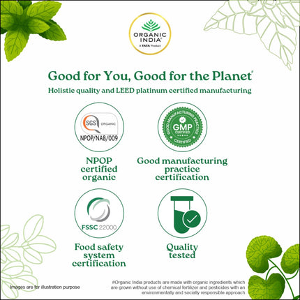 Organic India Triphala Powder - 100g