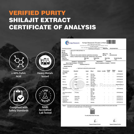 Himalaya Shilajit | 100% Pure Shilajit I 60 Capsules